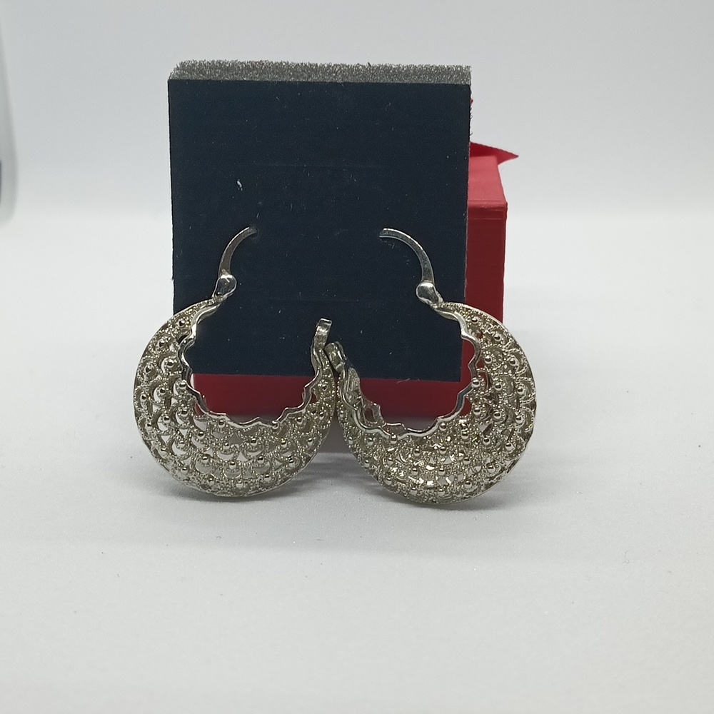 Fashion Hoops Earrings